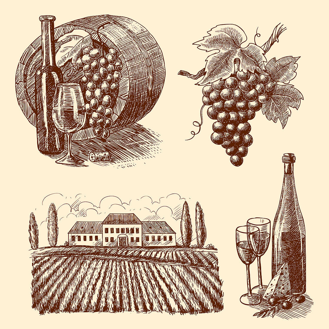 Wine, illustration