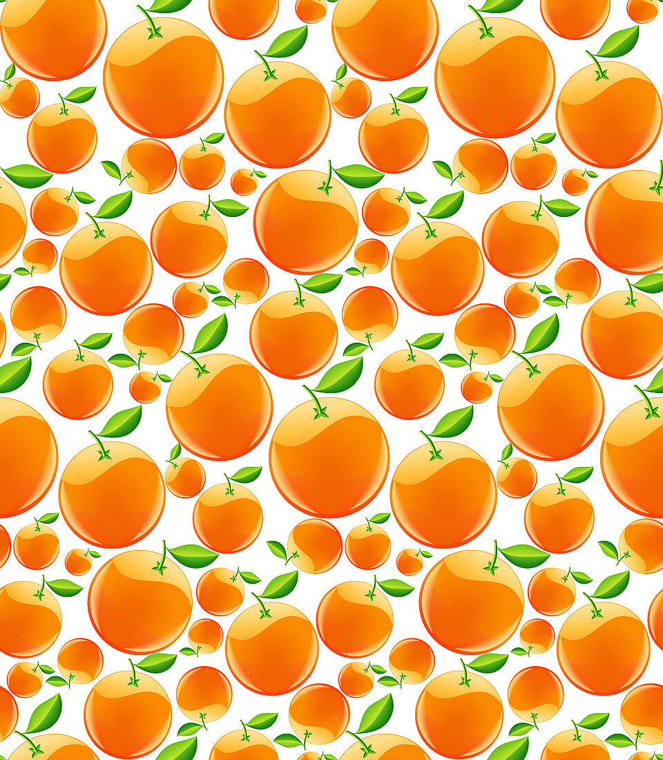 Oranges, illustration