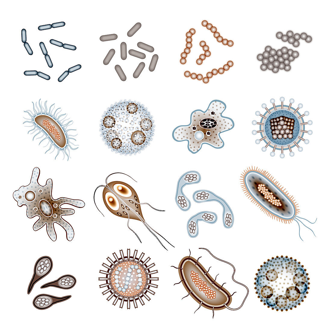 Microbe icons, illustration