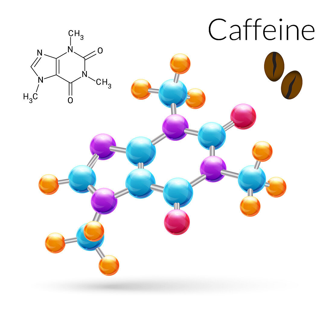 Caffeine molecule, illustration