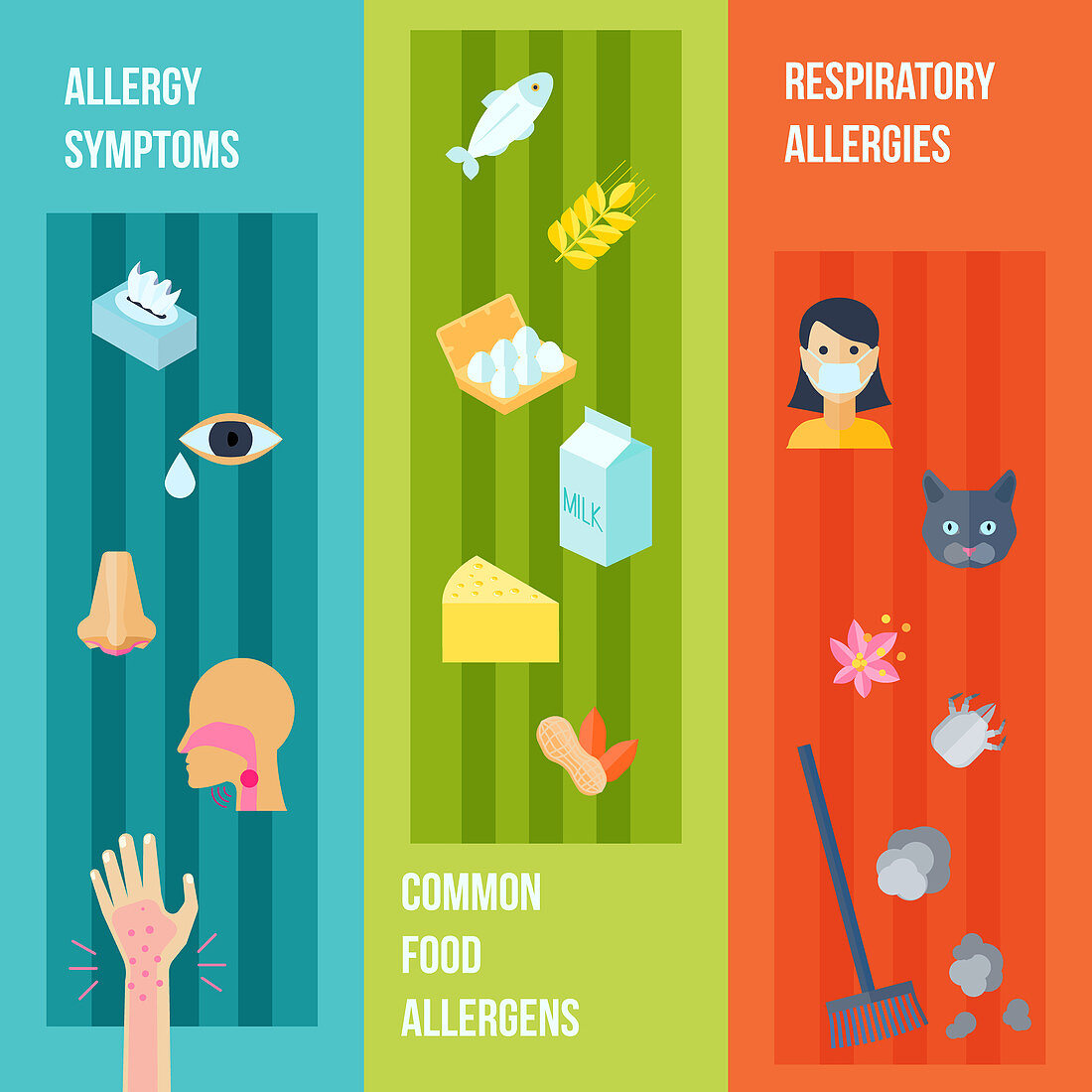 Allergies, illustration