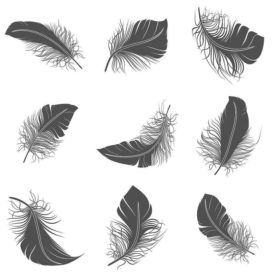 Feather icons, illustration