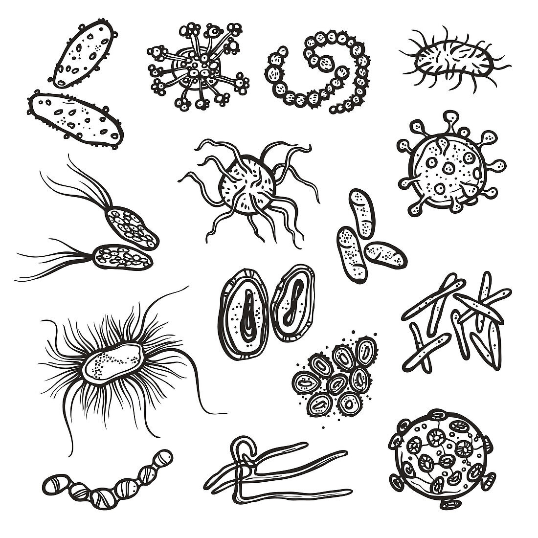 Bacteria and viruses, illustration