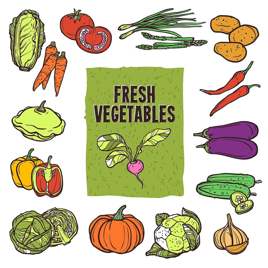 Vegetables, illustration