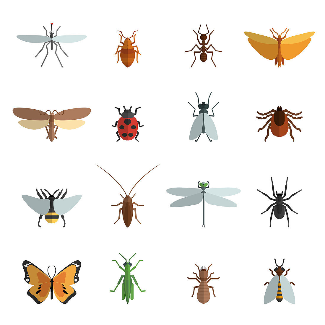 Insect icons, illustration