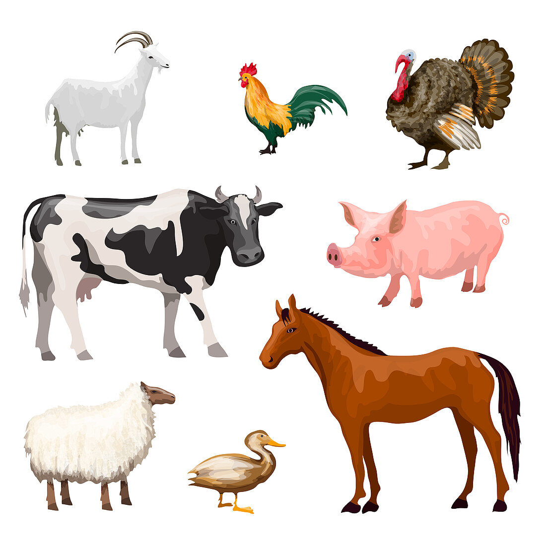 Farm animals, illustration