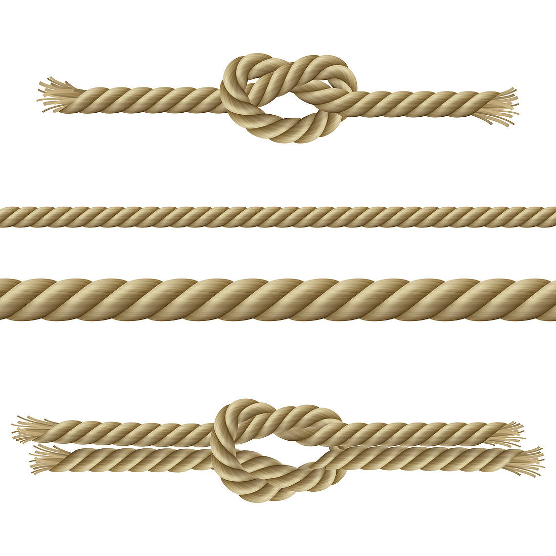 Ropes and knots, illustration