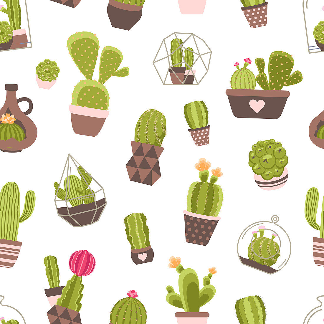 Cactus plants, illustration