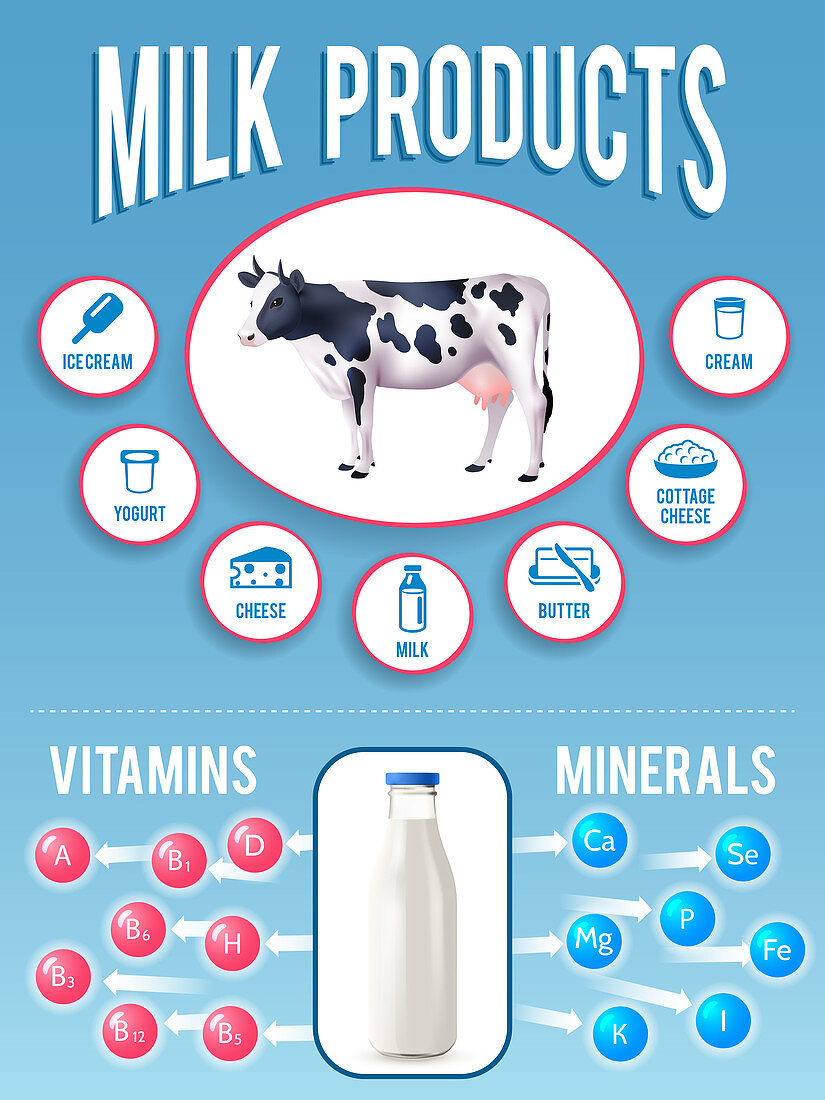 Milk products, illustration