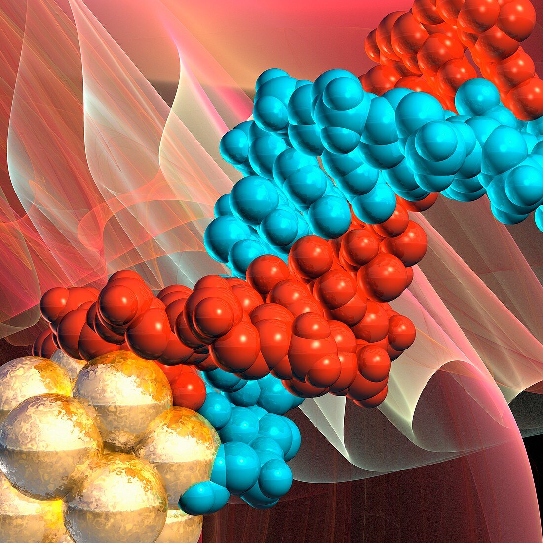 Cell cluster and DNA molecule, illustration