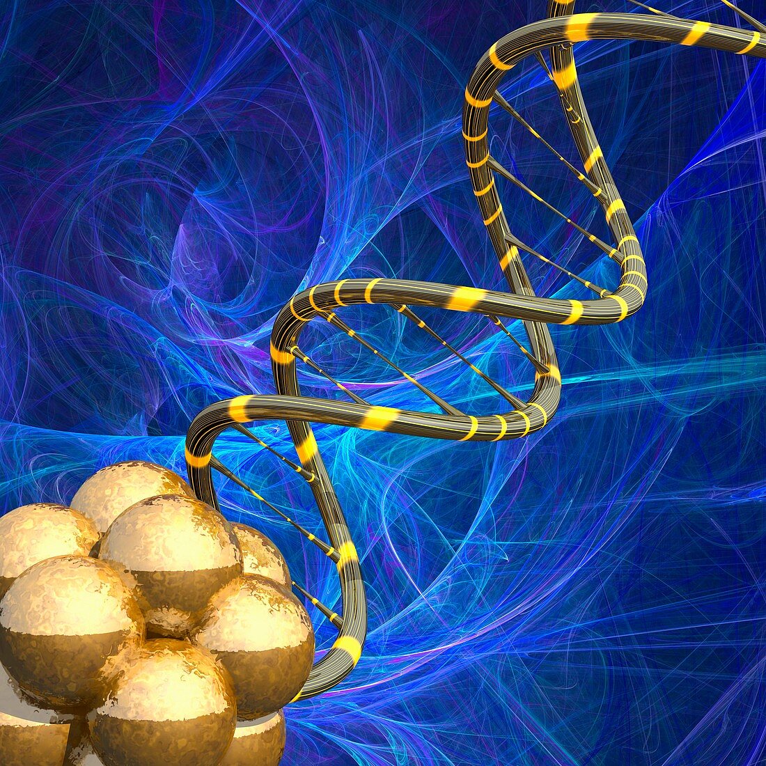 Cell cluster and DNA molecule, illustration