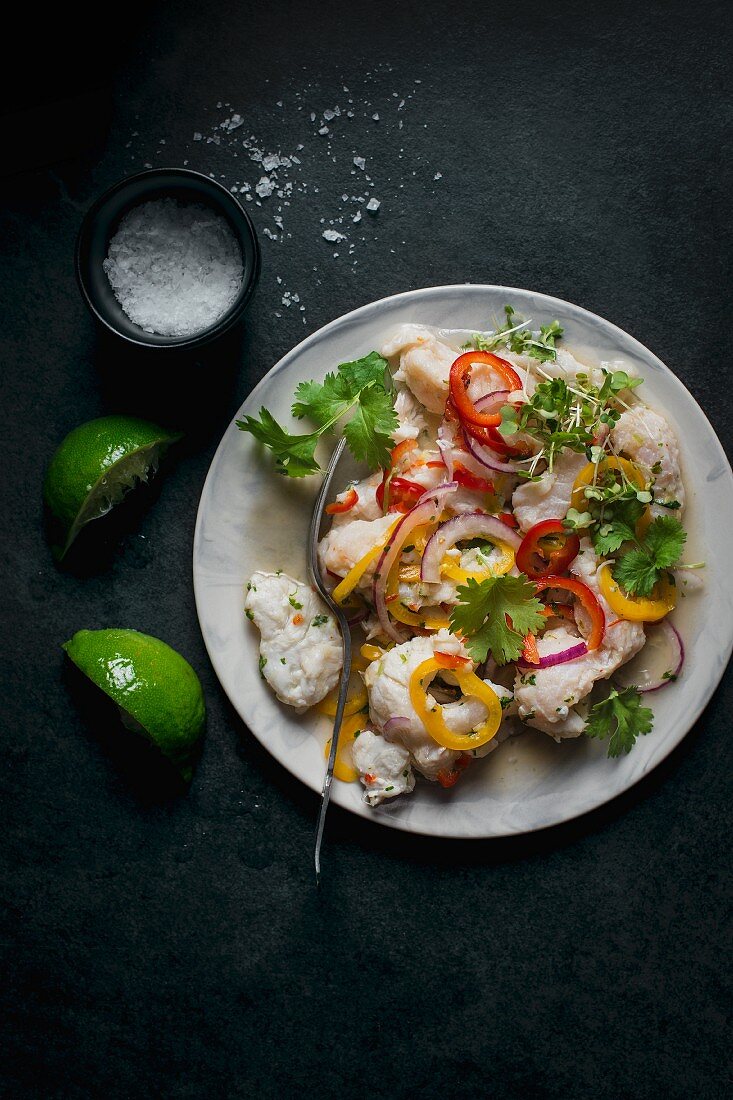 Fish ceviche with red and yellow pepper, onion and coriander