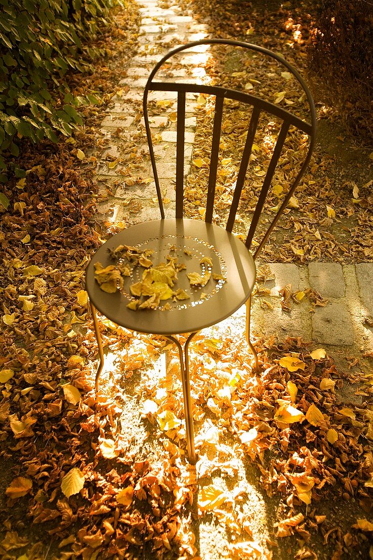 Empty chair and autumn leaves