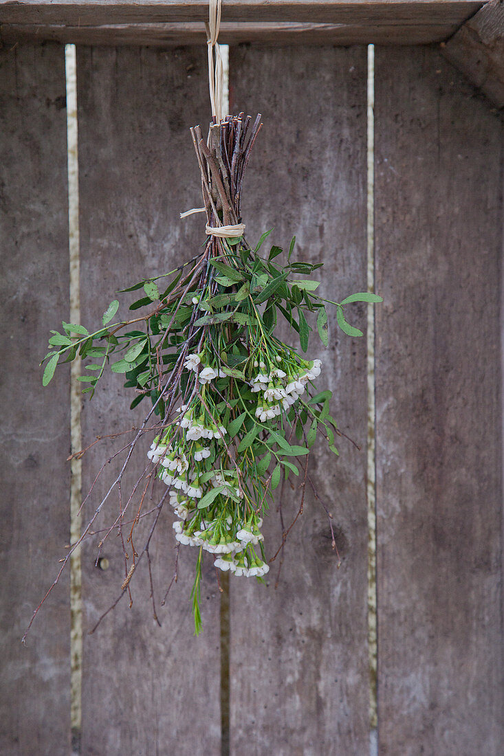 Waxflower posy