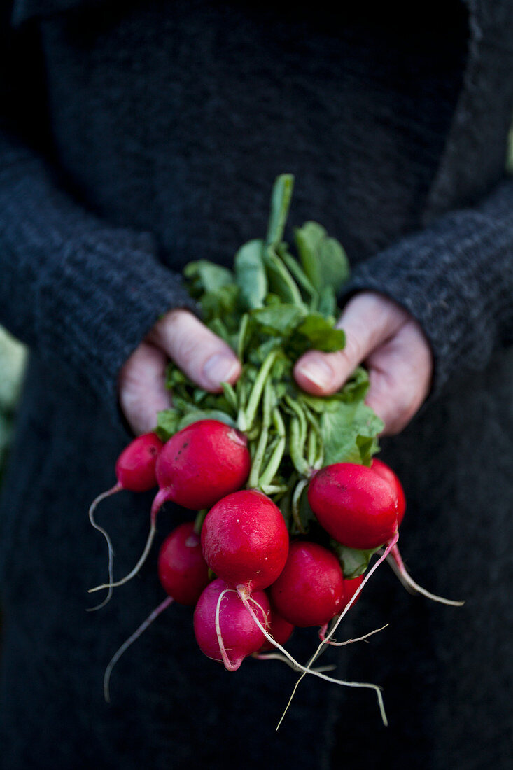 A woman holding a bunch of radishes