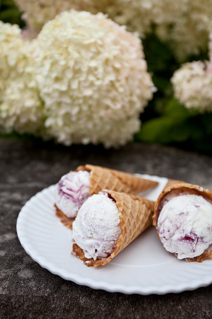 Blueberry and vanilla ice cream cones on a white plate with flowers in the background