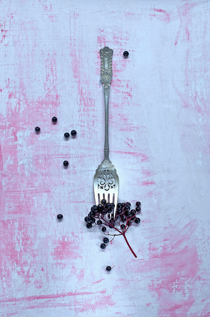 Fresh elderberries on a fork