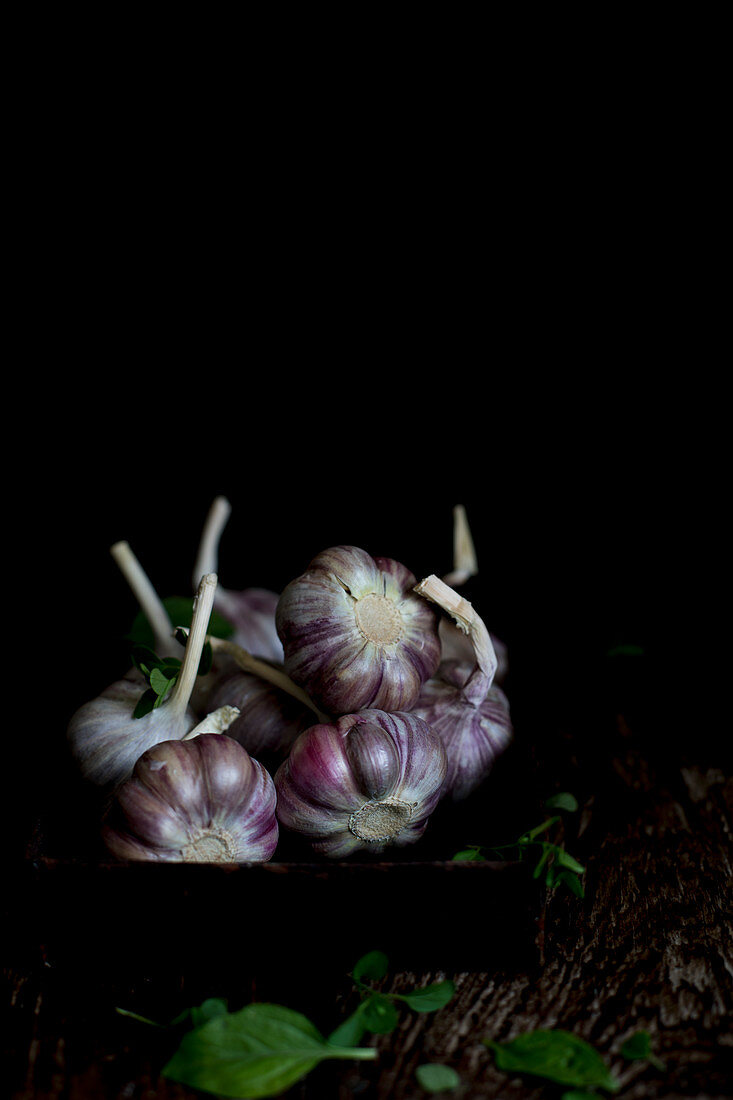 Young bulbs of garlic