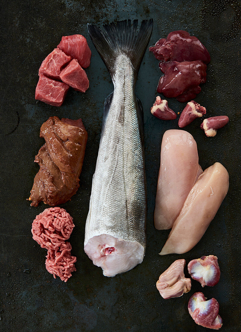 Meat, fish, offal and chicken breast on a black background (ingredients for dog food)