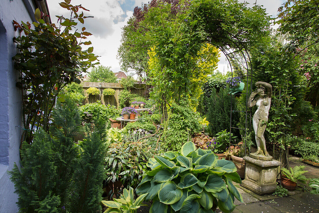 Container garden in courtyard