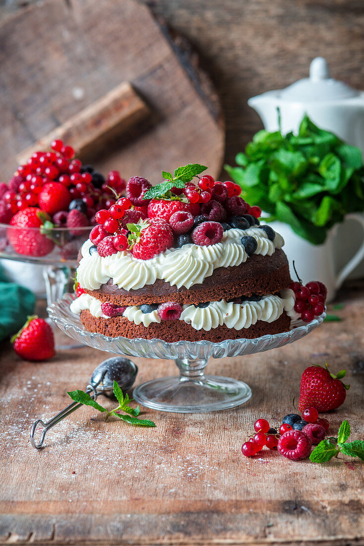Berry cake with chocolate sponge and whipped cream