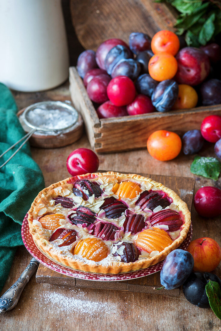 Plum tart with a quark filling