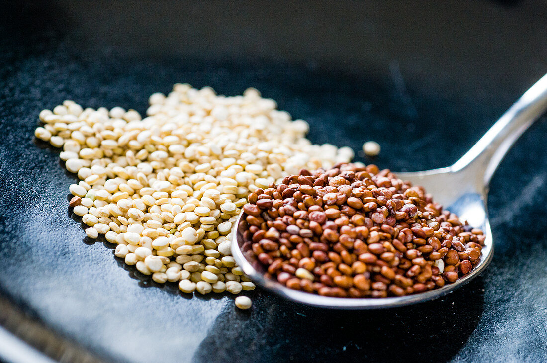 Two different types of quinoa