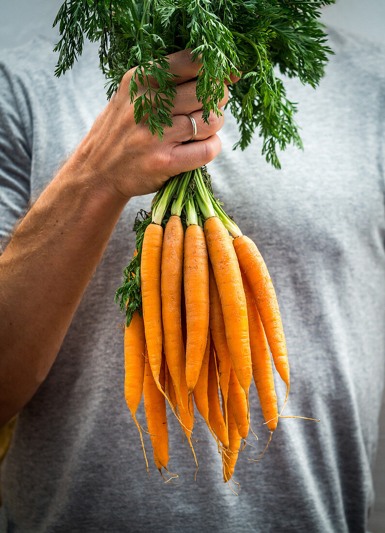 Man holding a bunch of fresh carrots