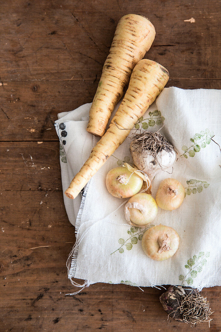 Petersilienwurzel, Knoblauch und Zwiebeln auf einem bedruckten Tuch