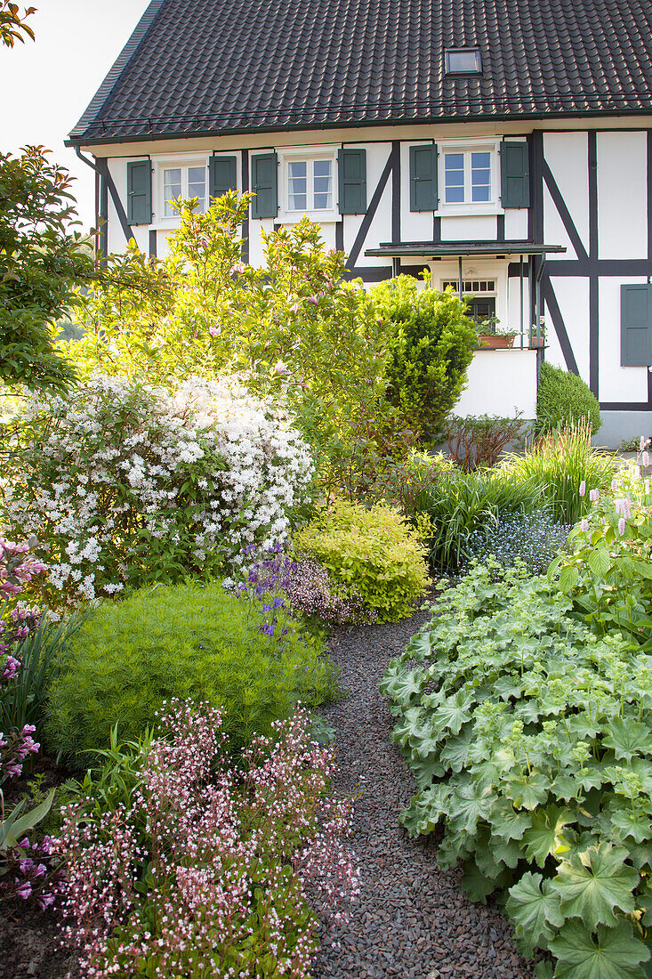 Kiesweg schlängelt sich durch Staudenbeete und Gartensträucher zum Fachwerkhaus