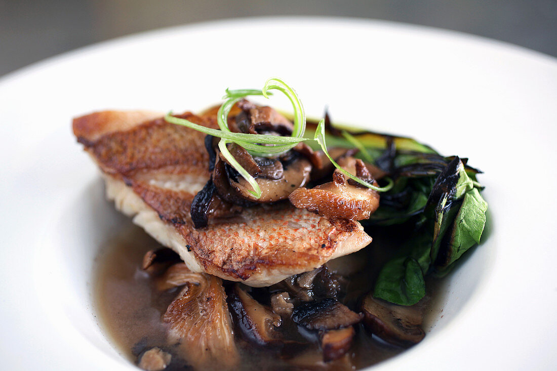 Pan roasted snapper with wild mushroom in miso broth