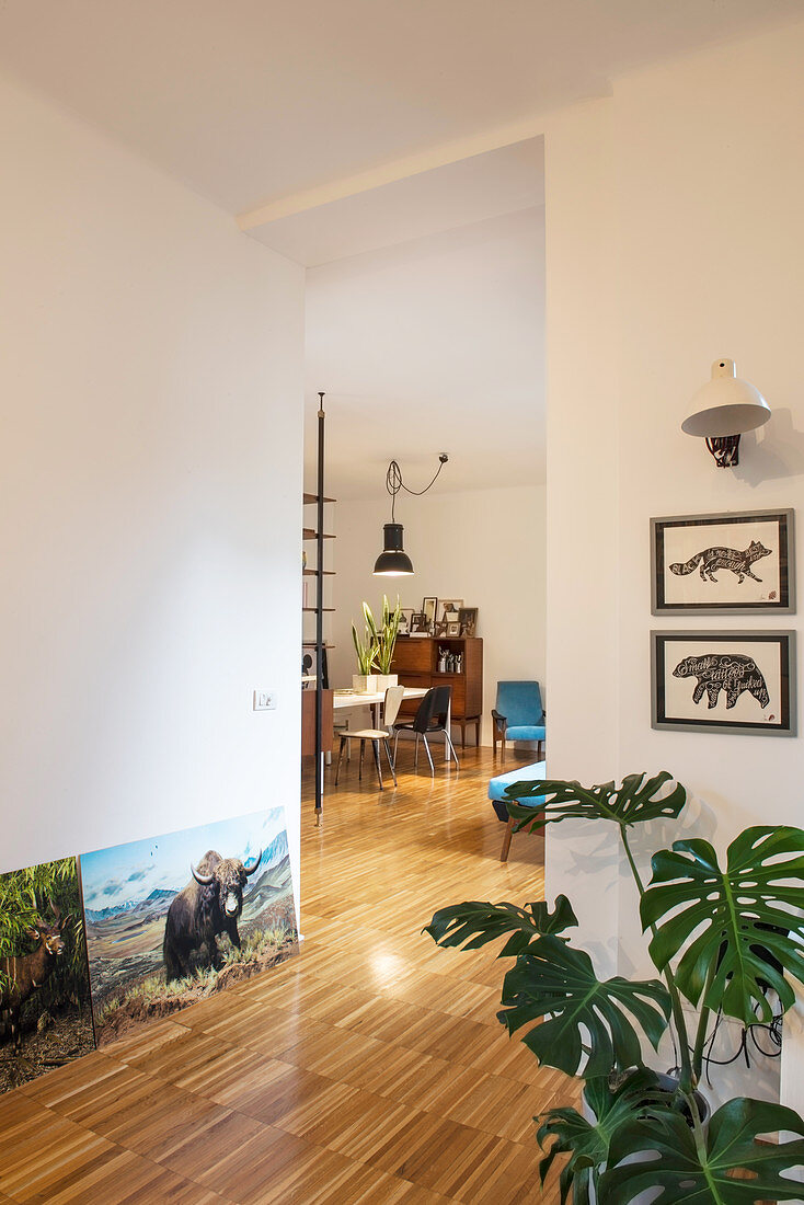 Pictures of animals and rubber plant next to open doorway with view of dining area