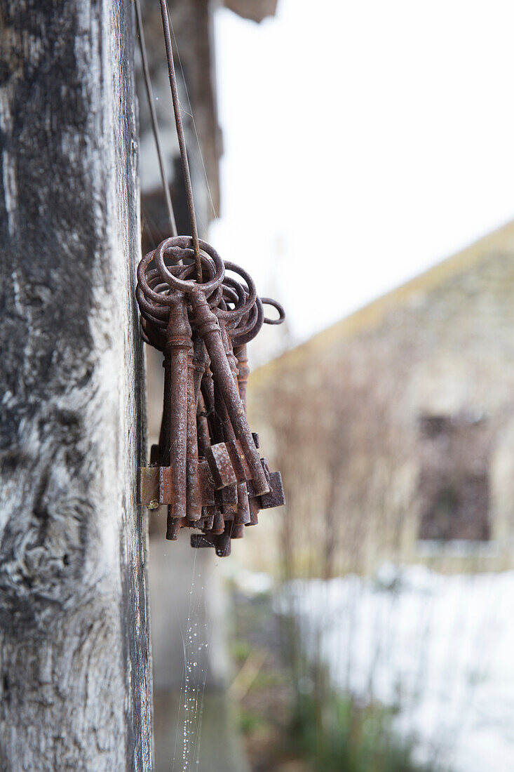 Bunch of old keys