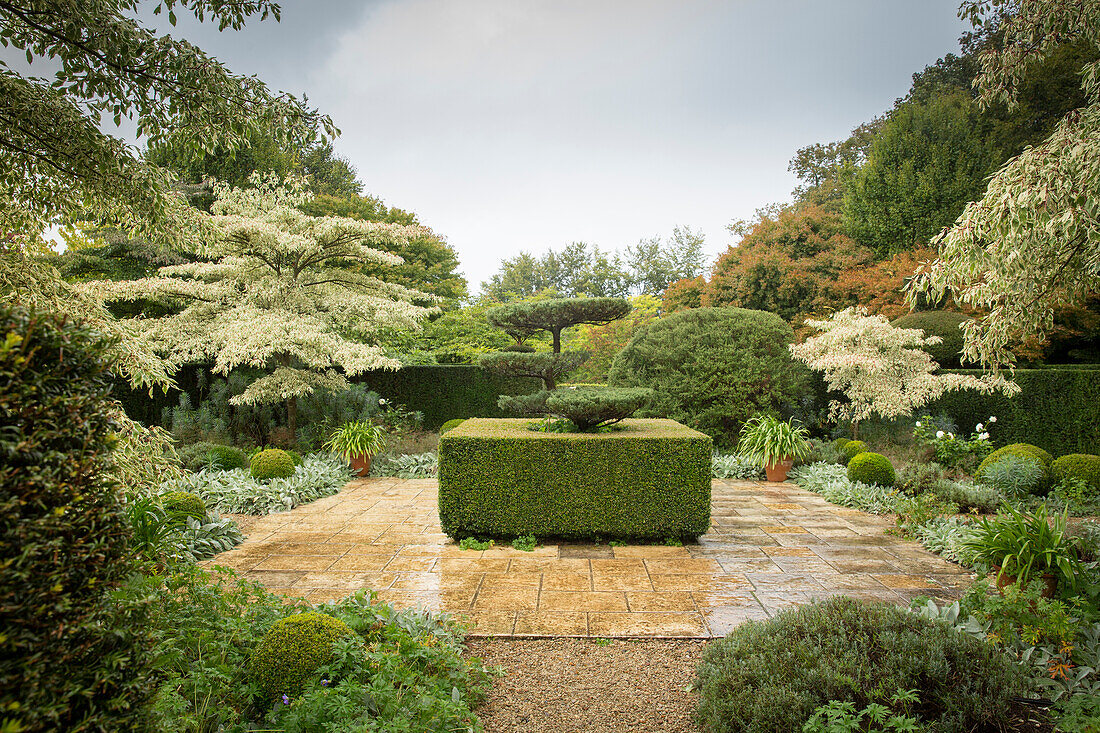 Topiary garden (Les Jardins de Castillon, France)