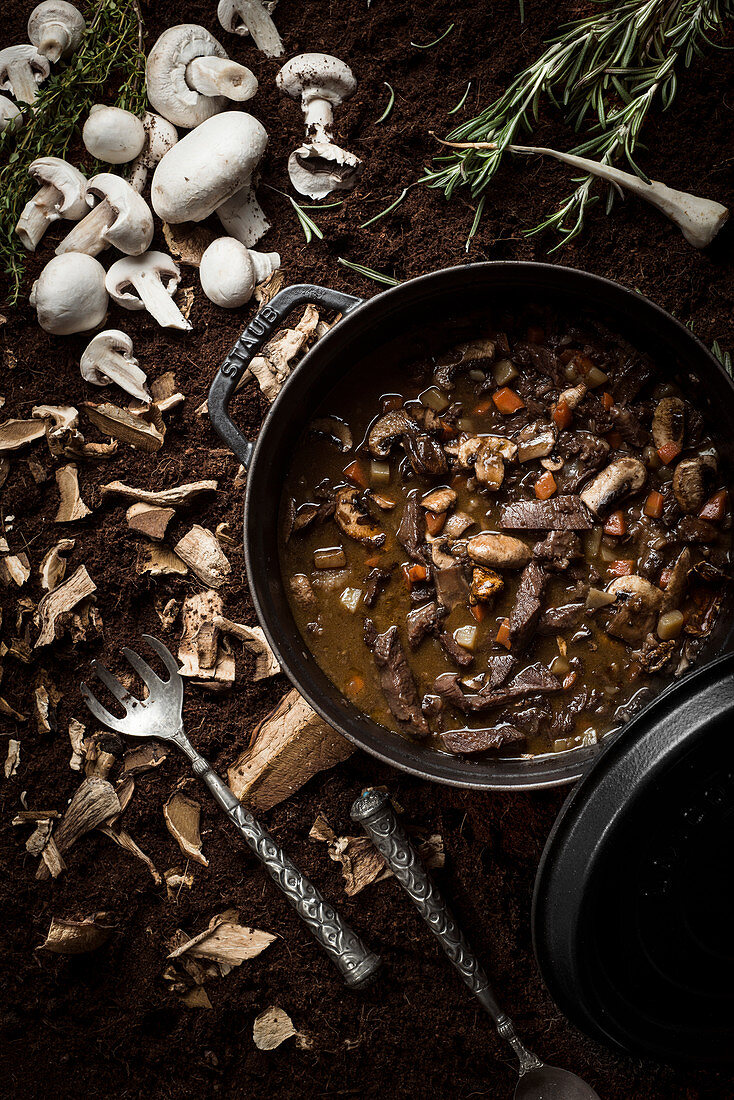 Beef and mushroom stew