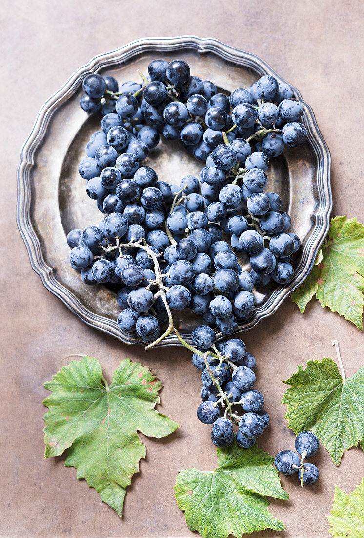 Blue grapes on a pewter plate