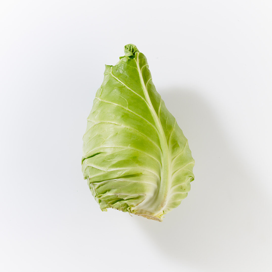 Pointed cabbage