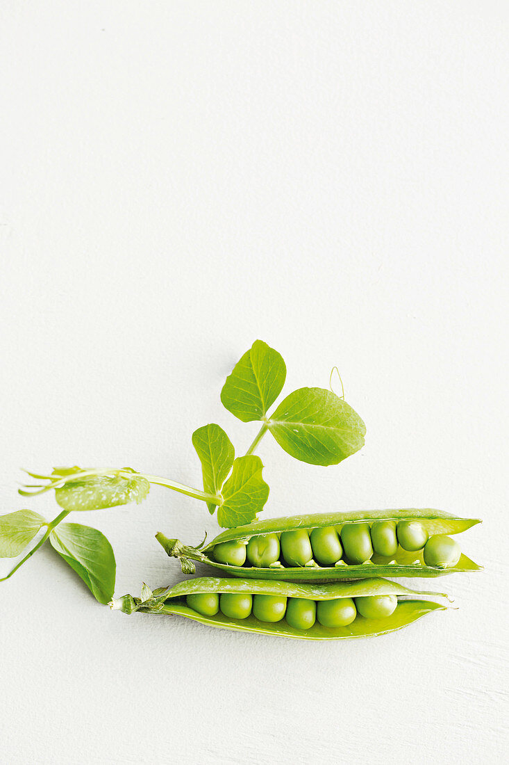 Two fresh pea pods against a white background