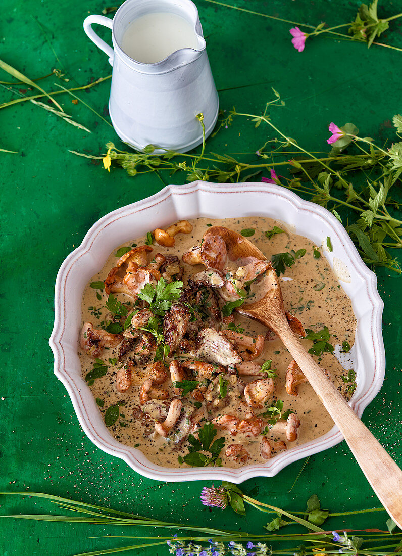 Creamy beef with chanterelle mushrooms and herbs