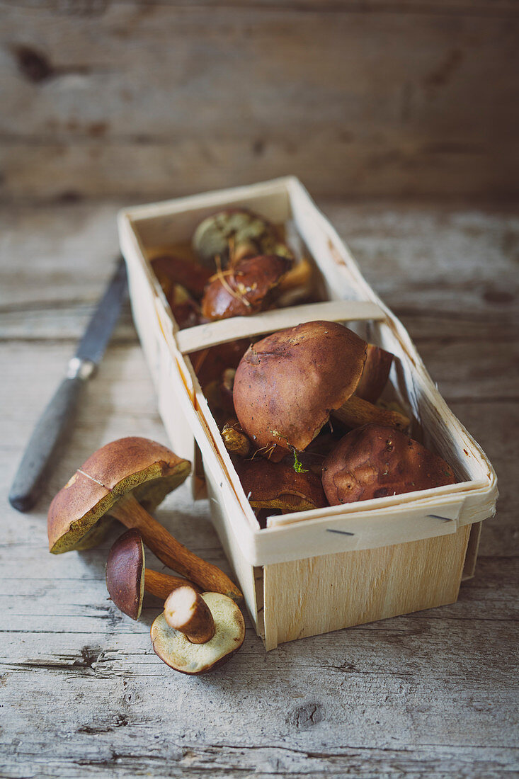 Fresh wild mushrooms in a wooden basket