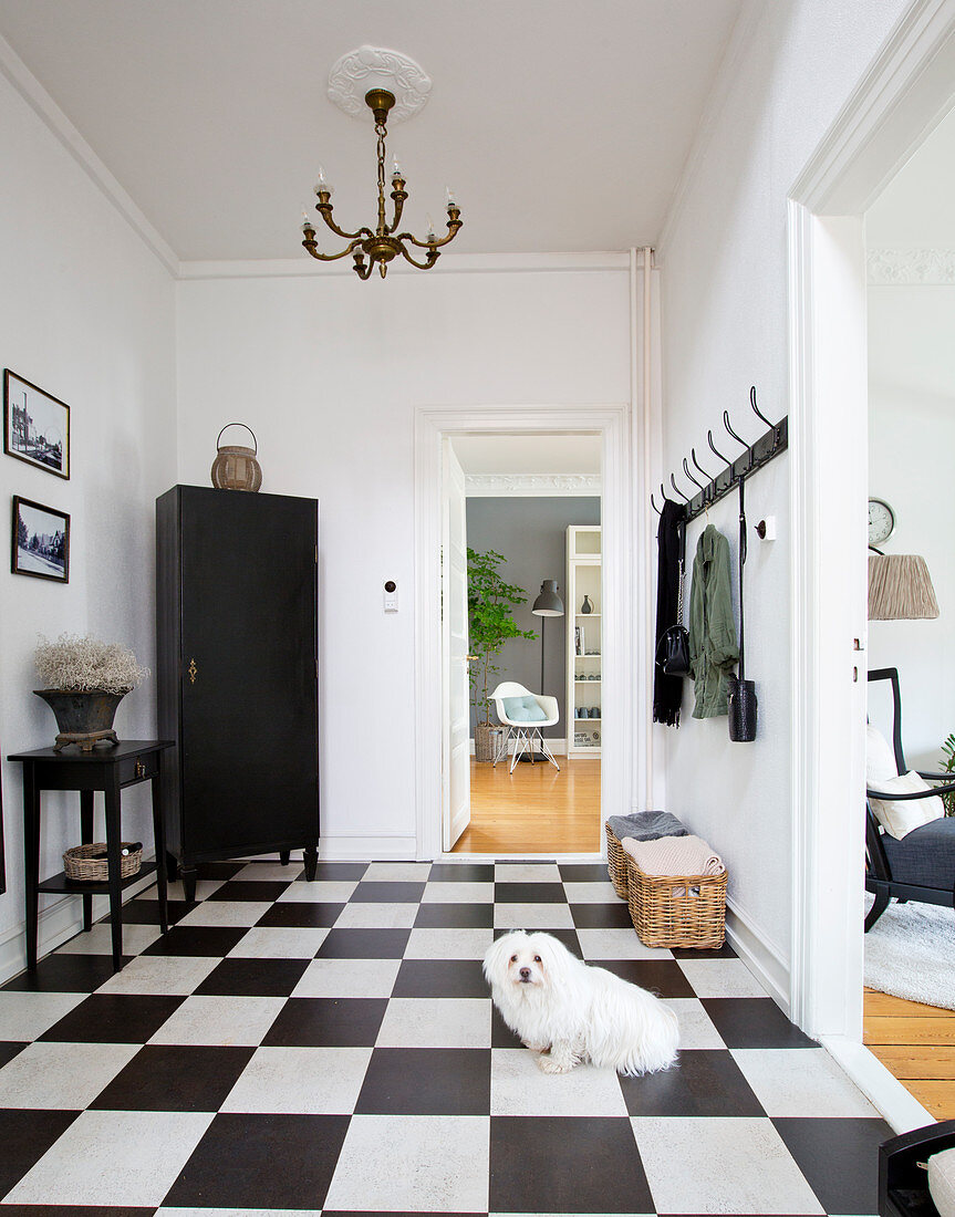 Dog on chequered foyer floor