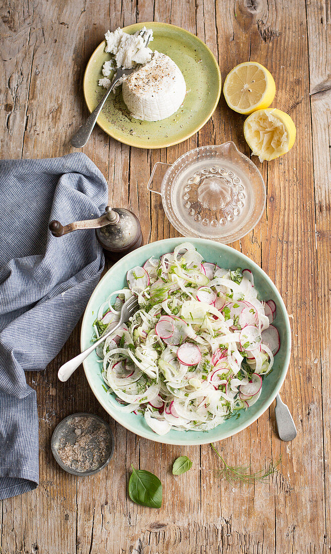 Fenchel-Radieschen-Salat