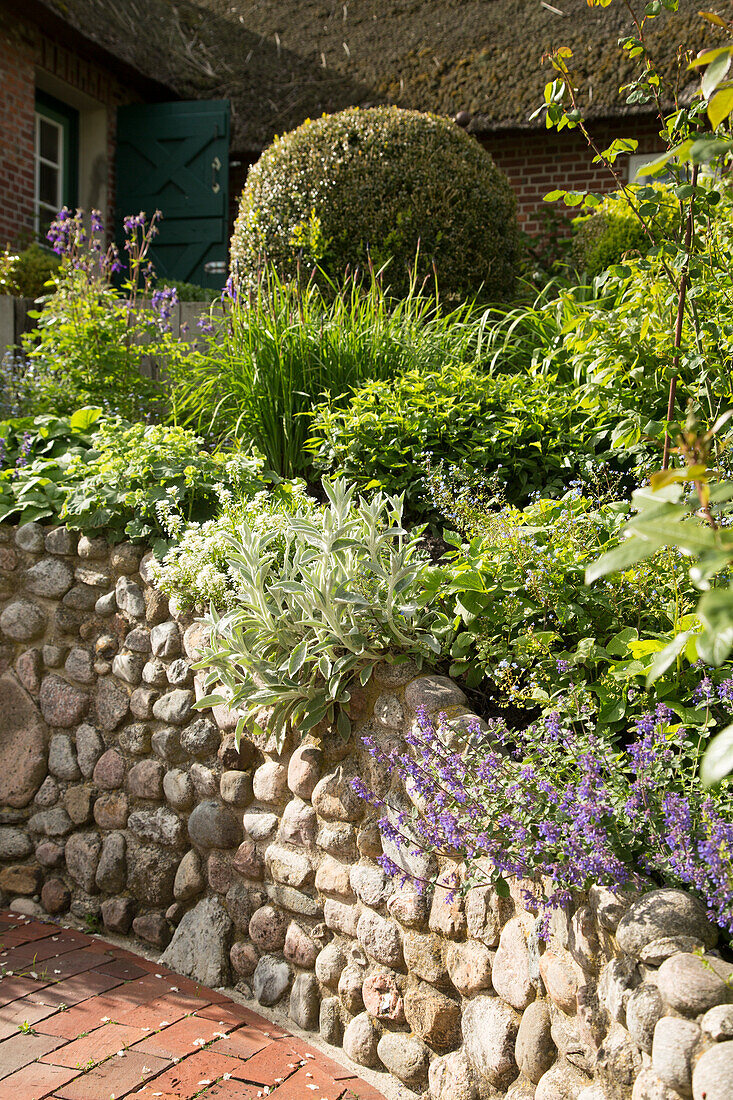 Raised herbaceous border with stone wall