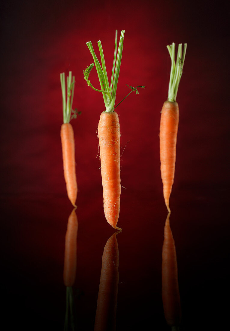 Three carrots against a red and black background