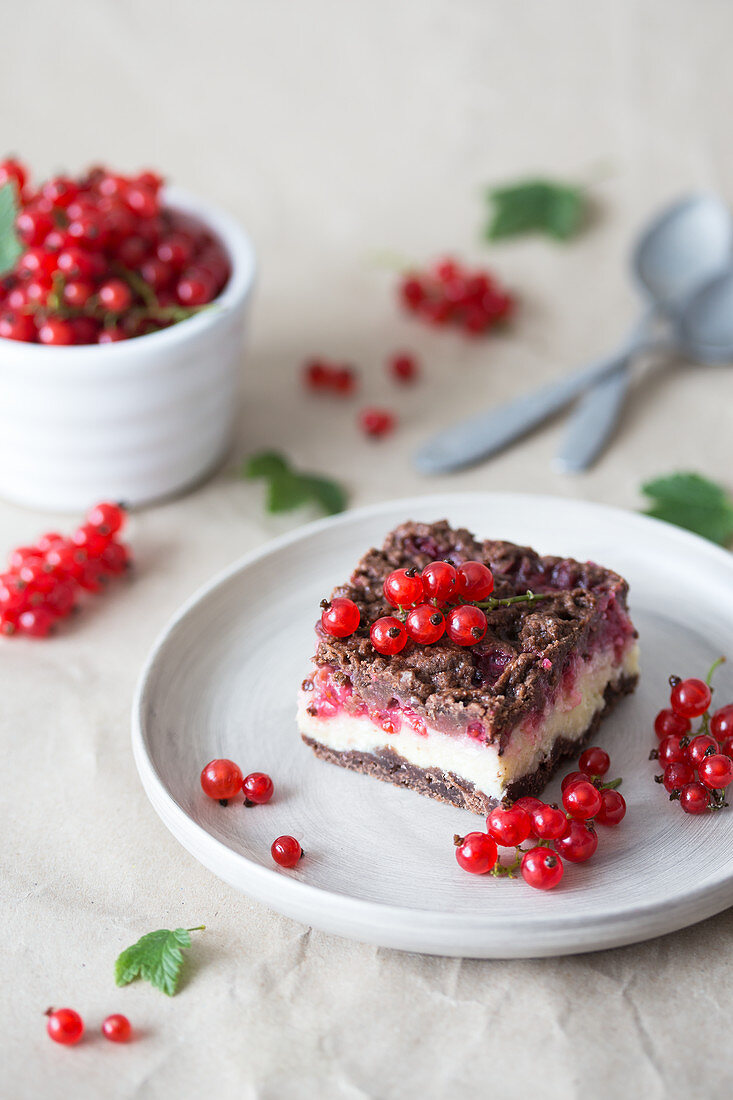 Cheesecake squares with chocolate crust and red currant