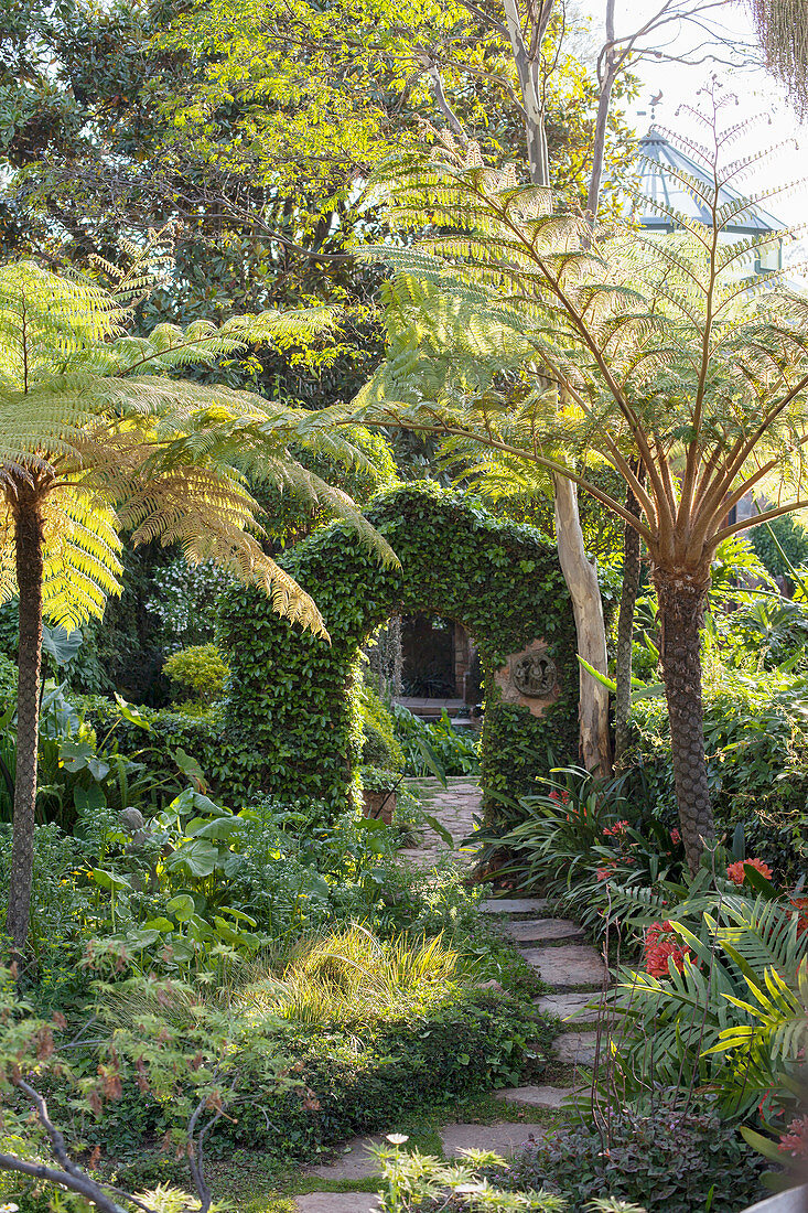 Path leading through climber-covered archway in exotic garden