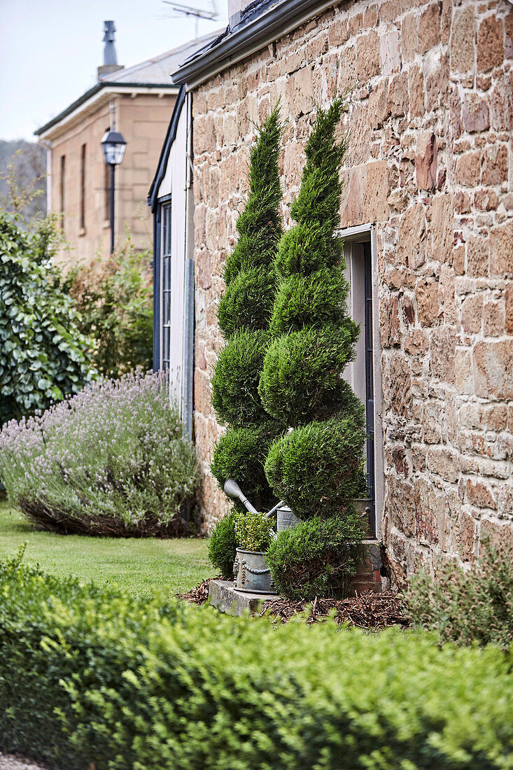 Spiral hedges at the entrance of a natural stone house