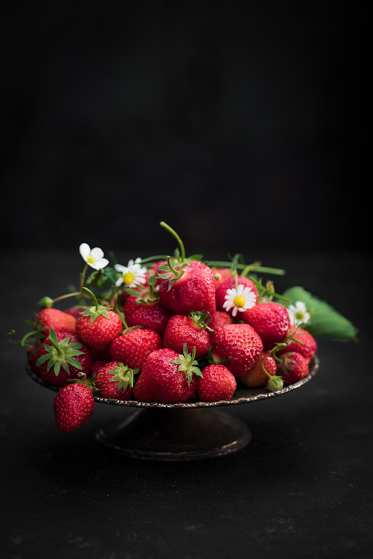 Erdbeeren mit Erdbeerblüten
