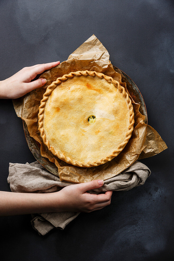 Cheese Pie with herbs and female hands on dark background
