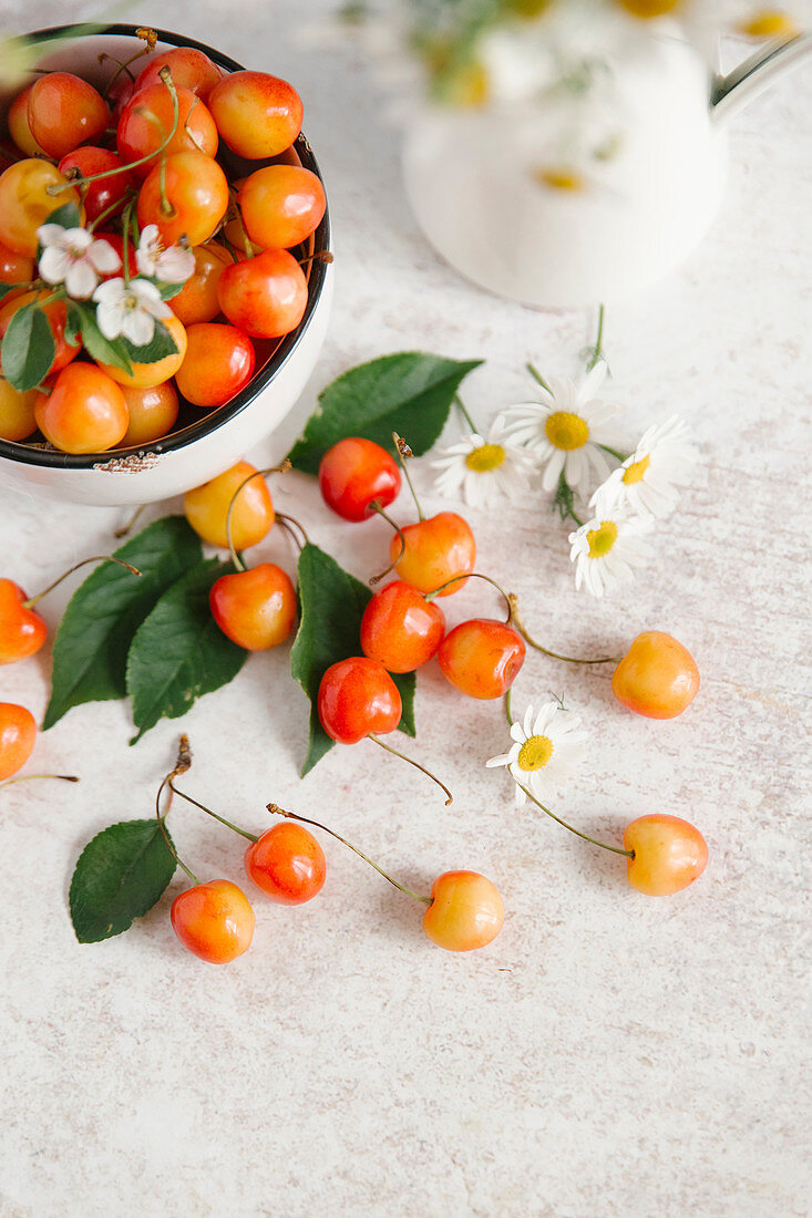 Cherries on a white wooden table